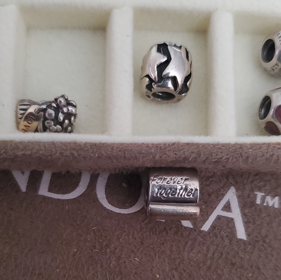 COPY - Pandora charms (authentic) read description - Picture 4 of 5